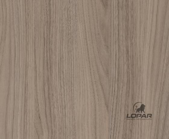 Nogueira Gris